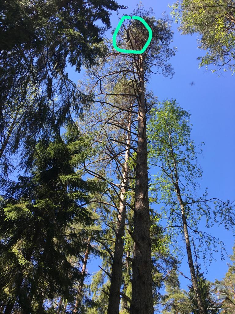 WhatsApp Image 2020-06-03 at 14.06.51 (2).jpeg