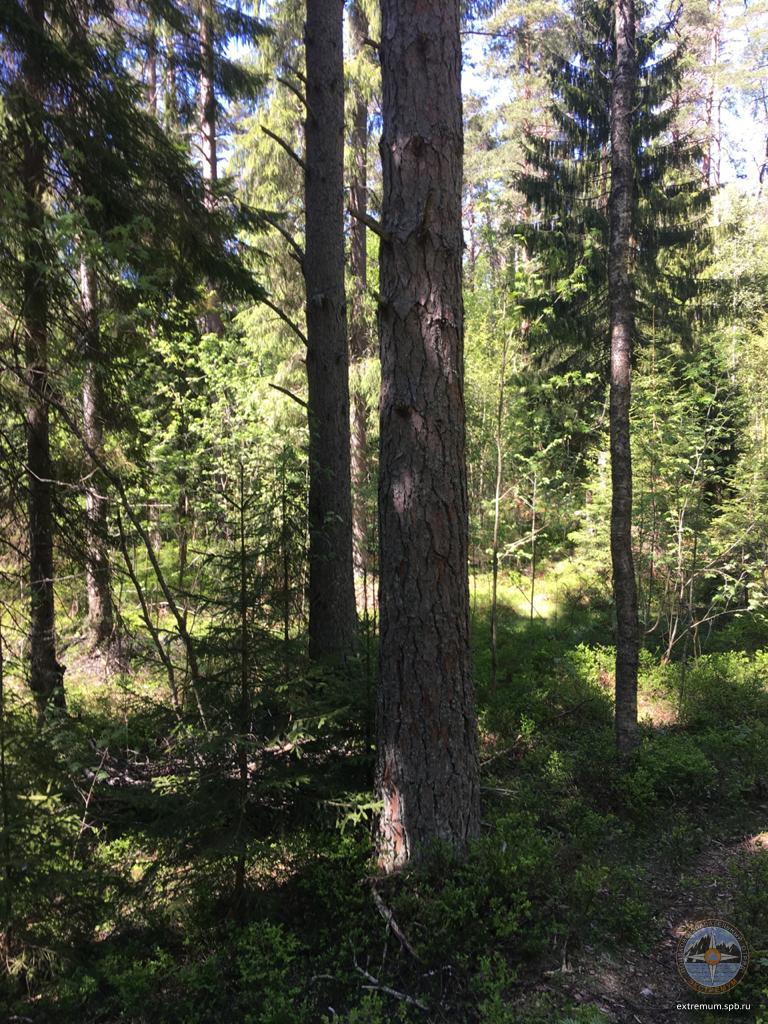 WhatsApp Image 2020-06-03 at 14.06.51.jpeg