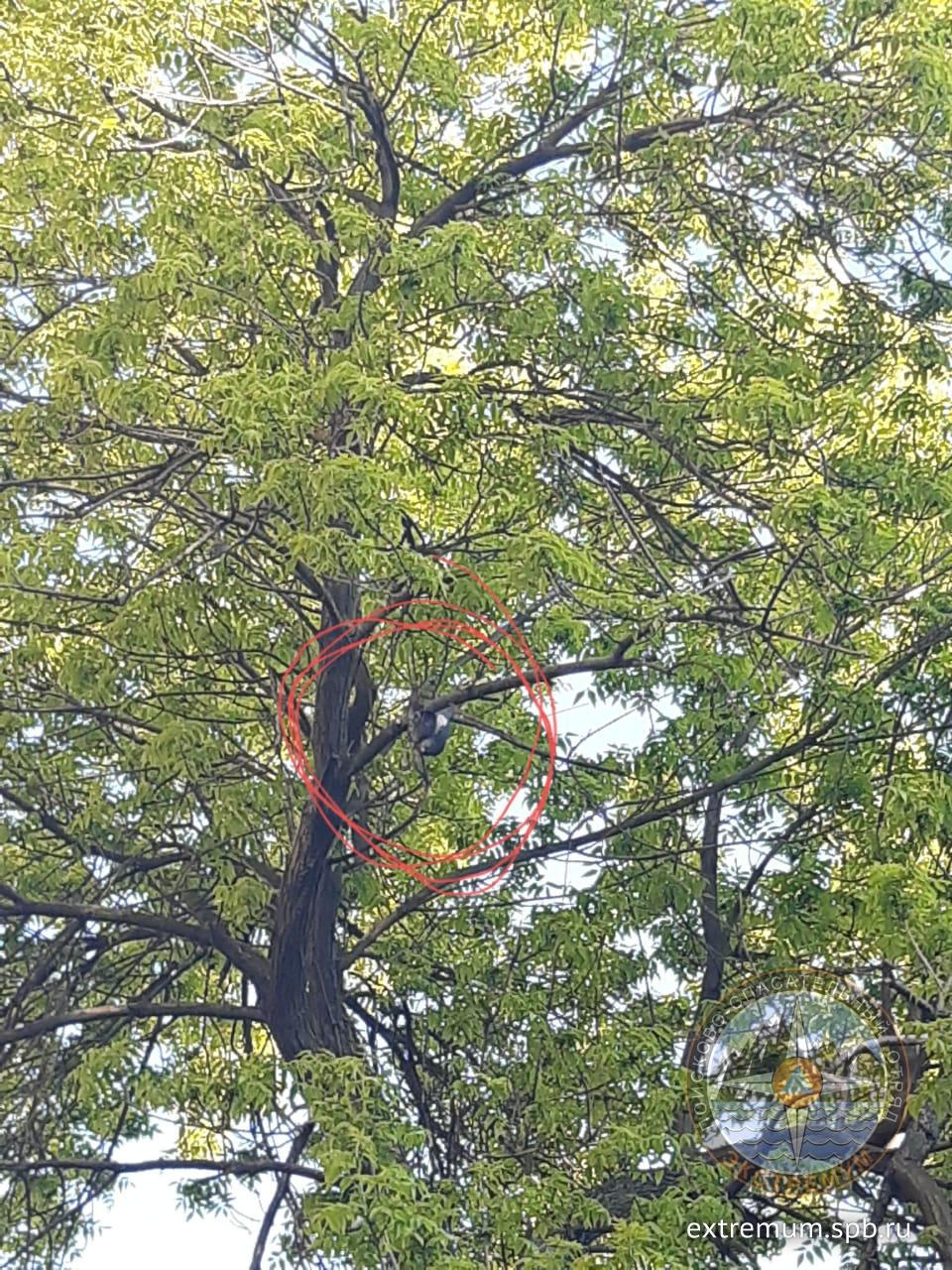 WhatsApp Image 2020-06-03 at 19.37.20.jpeg