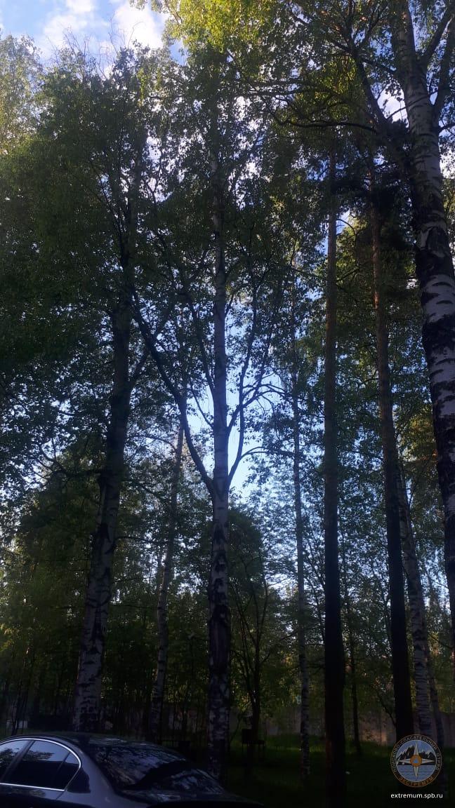 WhatsApp Image 2020-06-03 at 20.31.35.jpeg