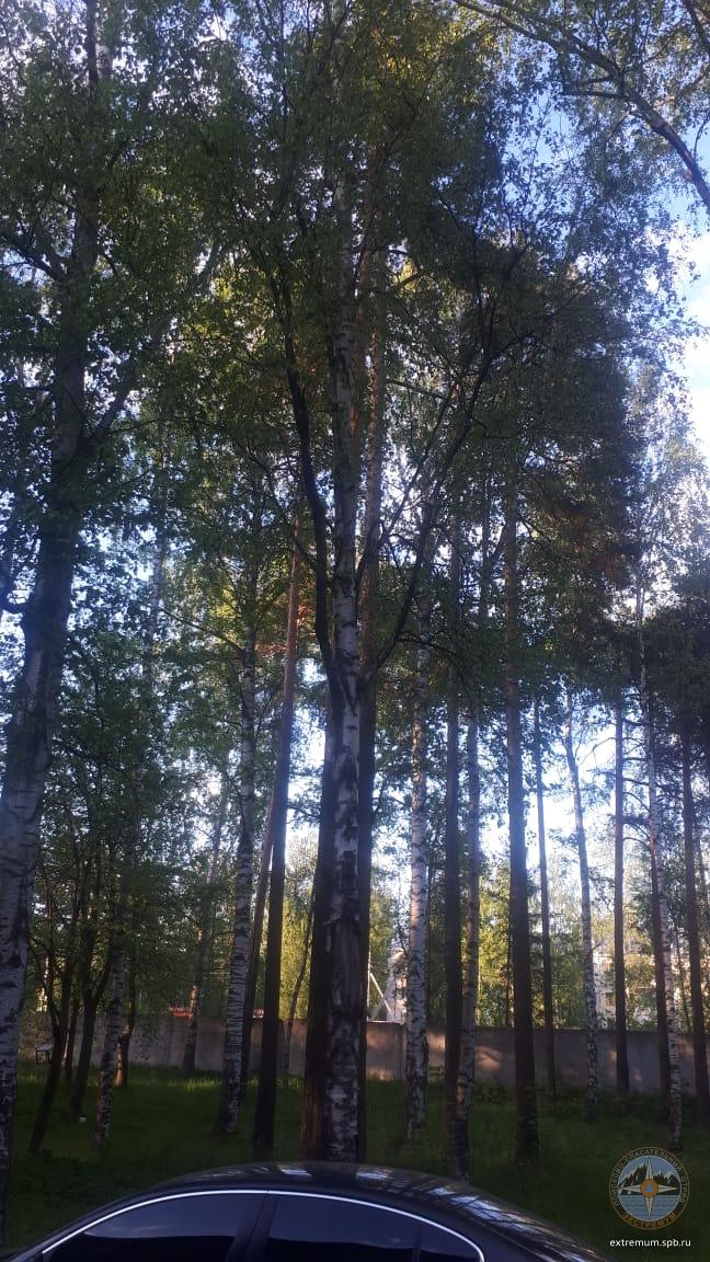 WhatsApp Image 2020-06-03 at 20.31.18.jpeg