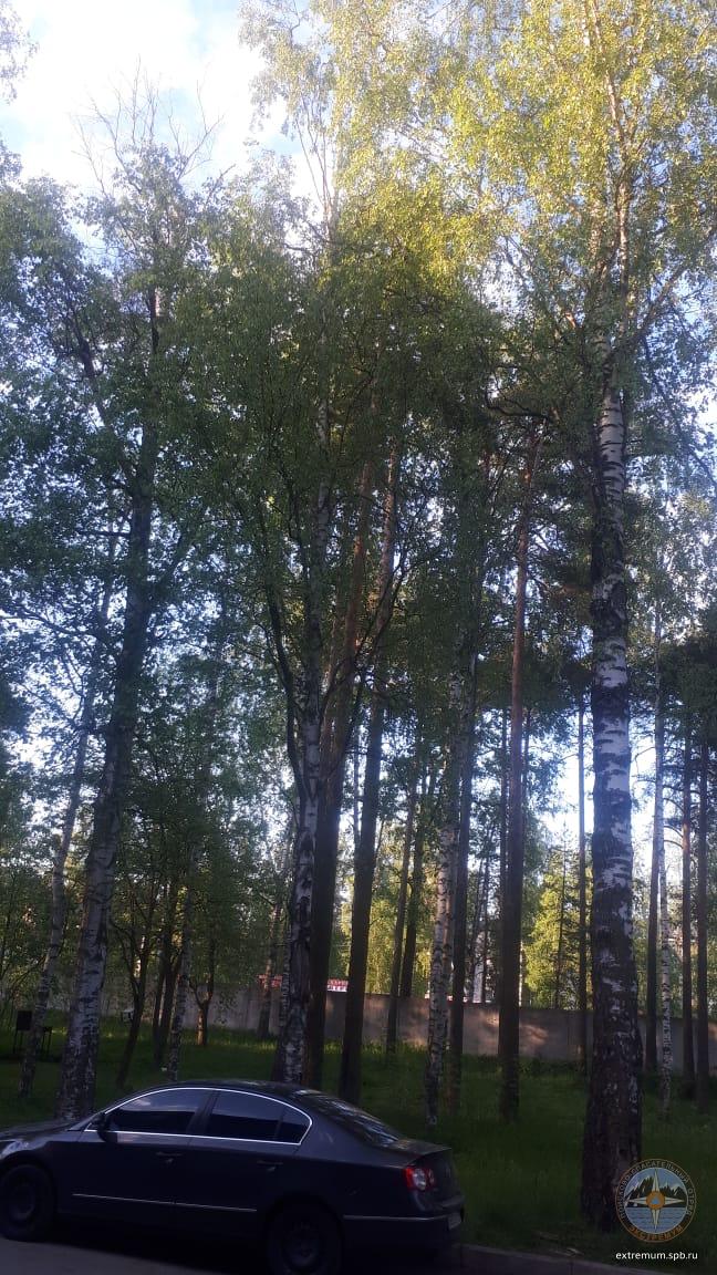 WhatsApp Image 2020-06-03 at 20.31.56.jpeg