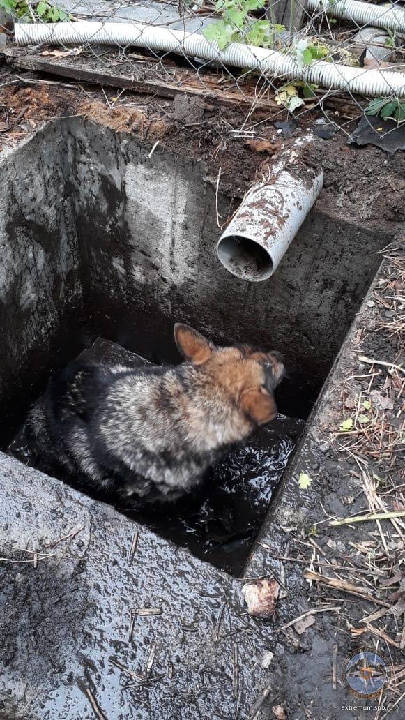 WhatsApp Image 2020-06-05 at 11.19.41 (1).jpeg