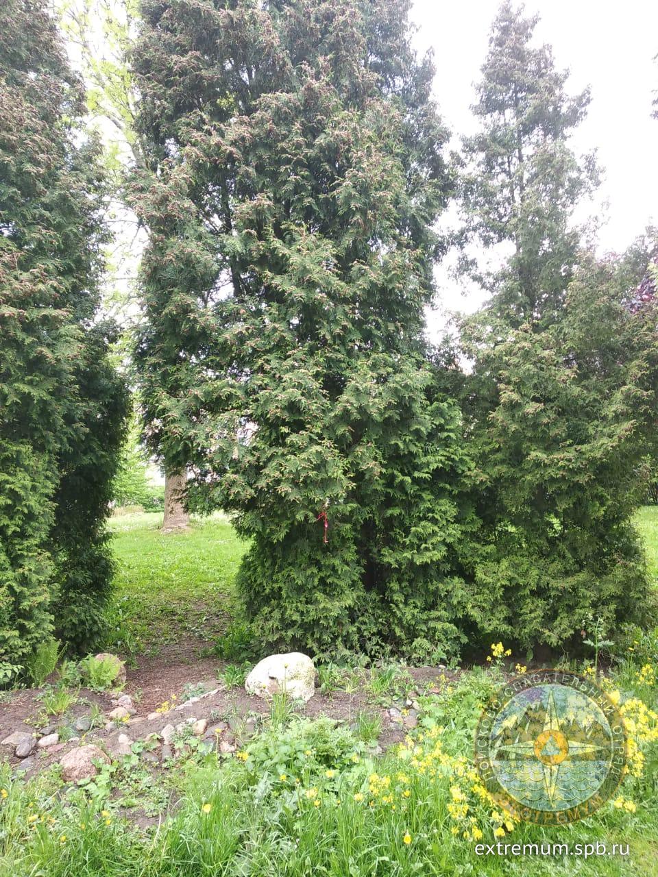 WhatsApp Image 2020-06-05 at 19.03.58.jpeg