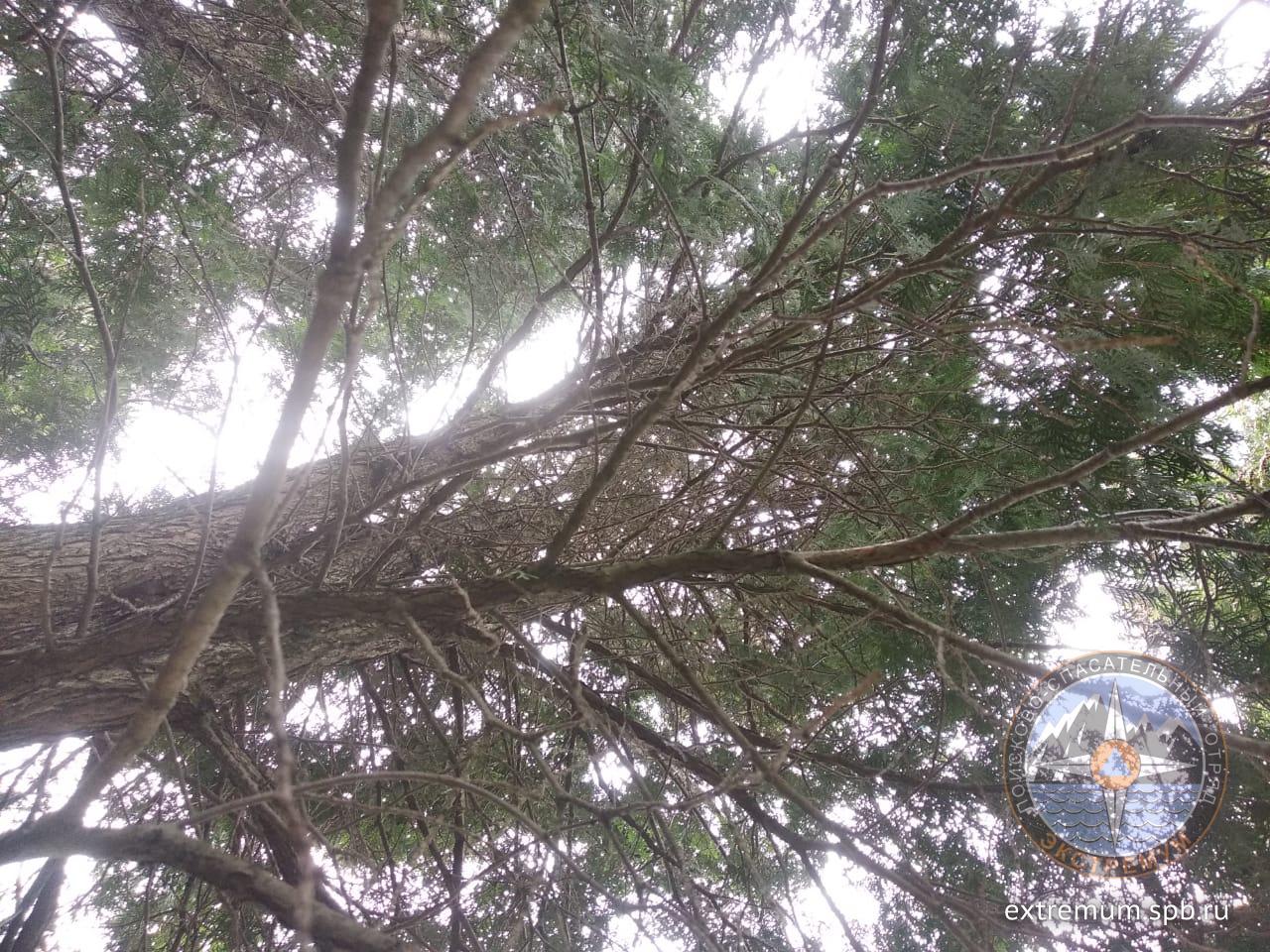 WhatsApp Image 2020-06-05 at 19.03.57 (2).jpeg