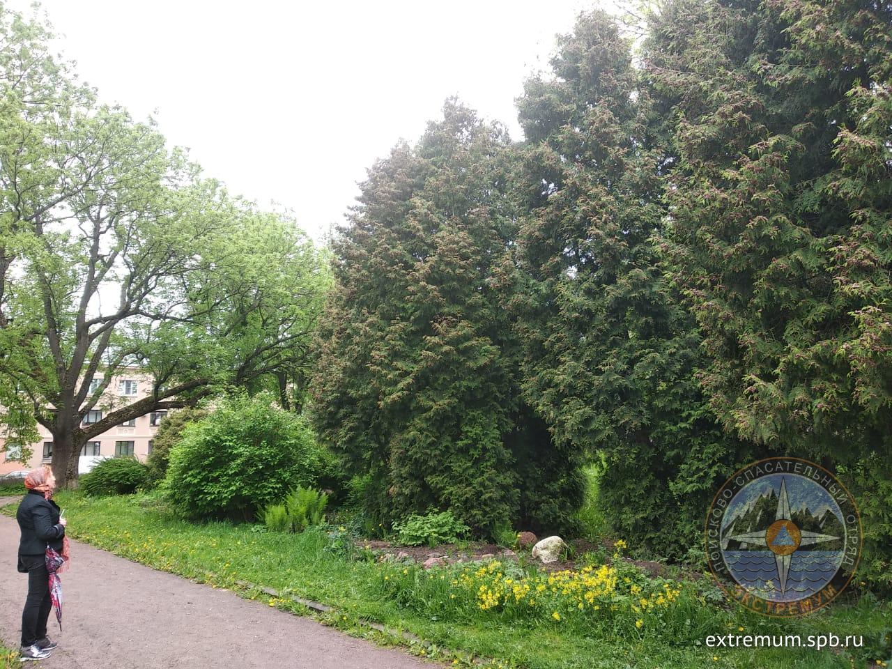 WhatsApp Image 2020-06-05 at 19.03.57 (1).jpeg