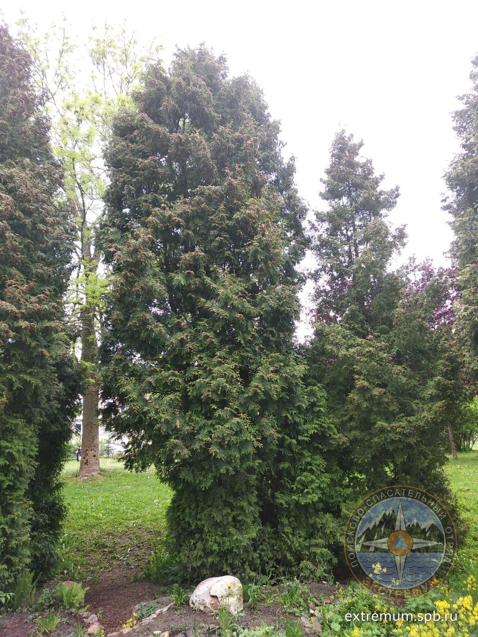 WhatsApp Image 2020-06-05 at 19.03.57.jpeg