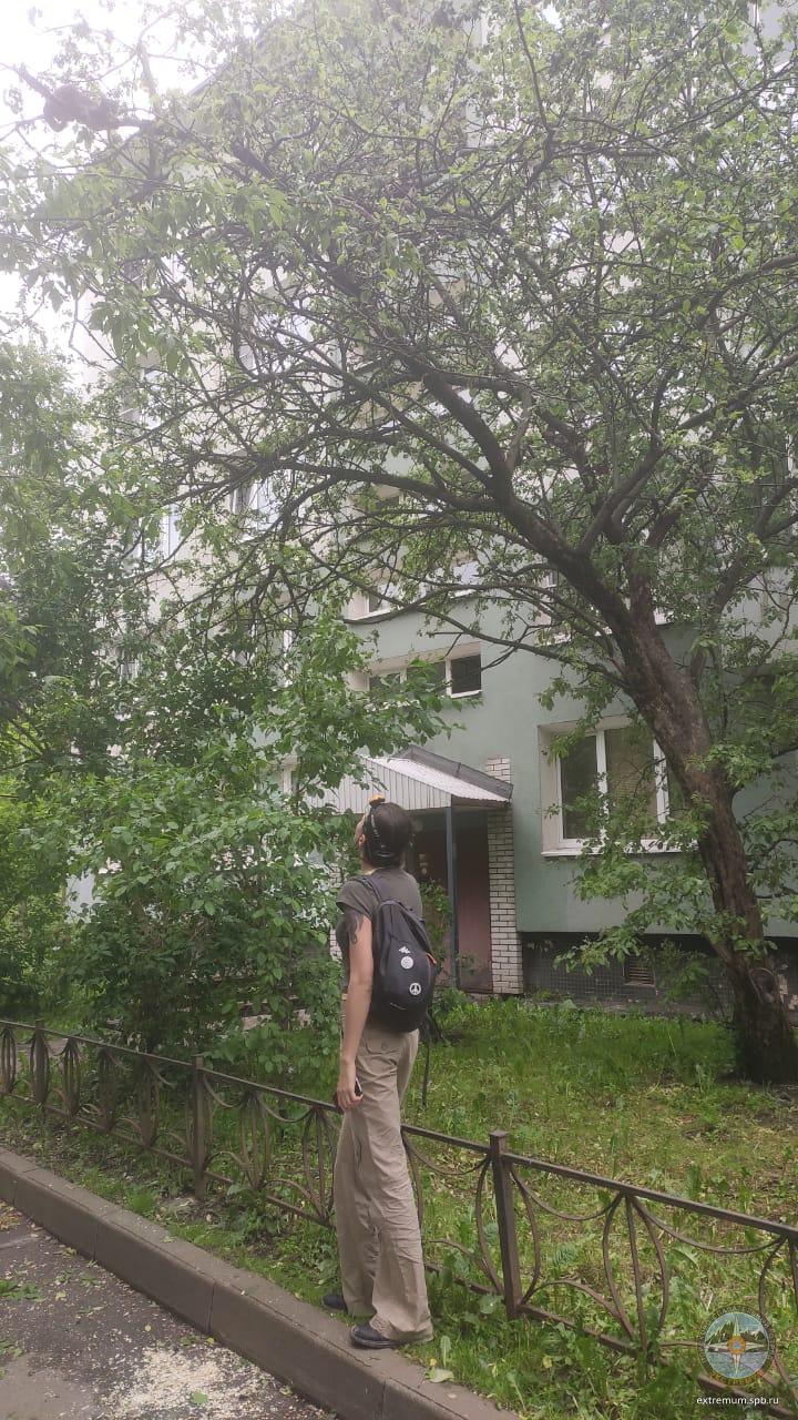 WhatsApp Image 2020-06-10 at 17.35.26.jpeg