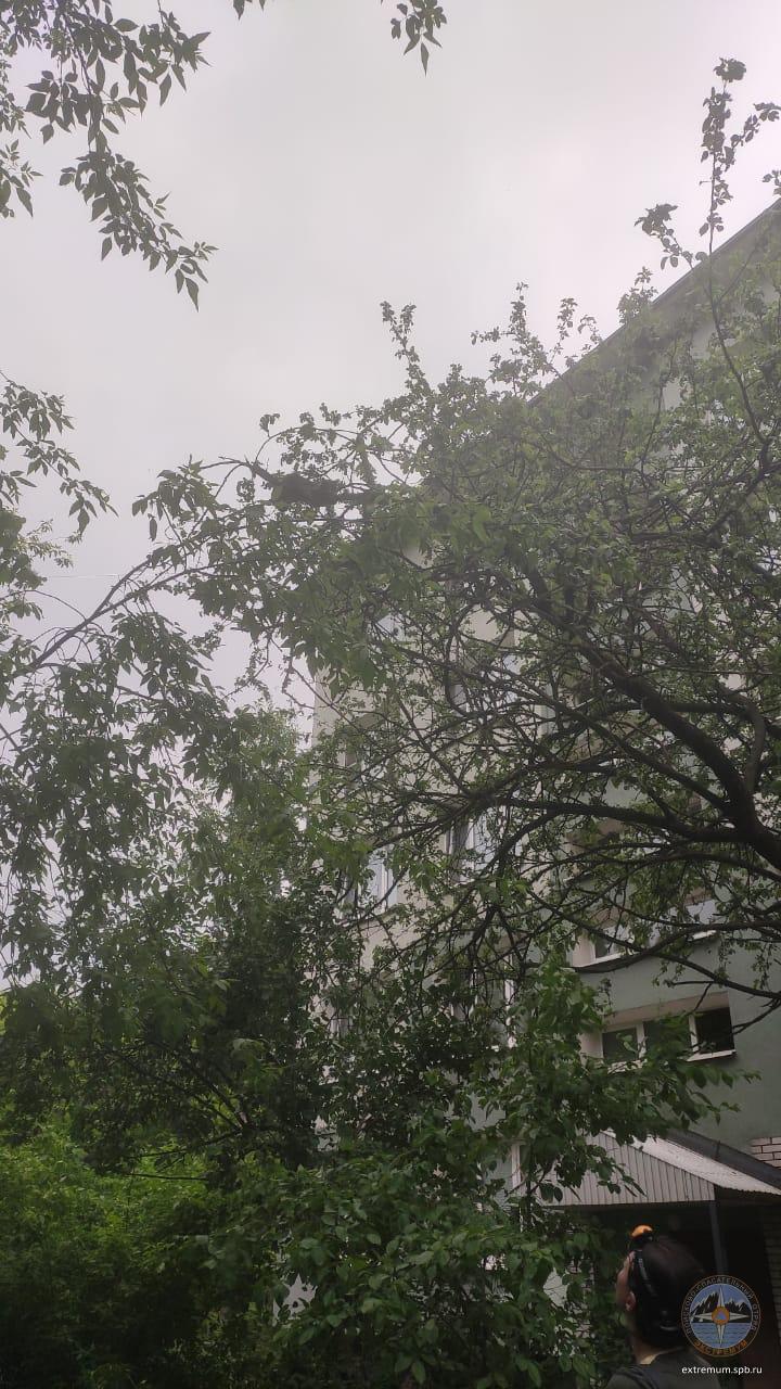 WhatsApp Image 2020-06-10 at 17.35.25 (2).jpeg