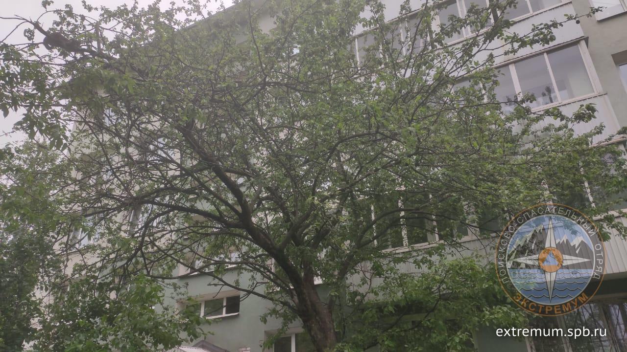 WhatsApp Image 2020-06-10 at 17.35.25 (1).jpeg