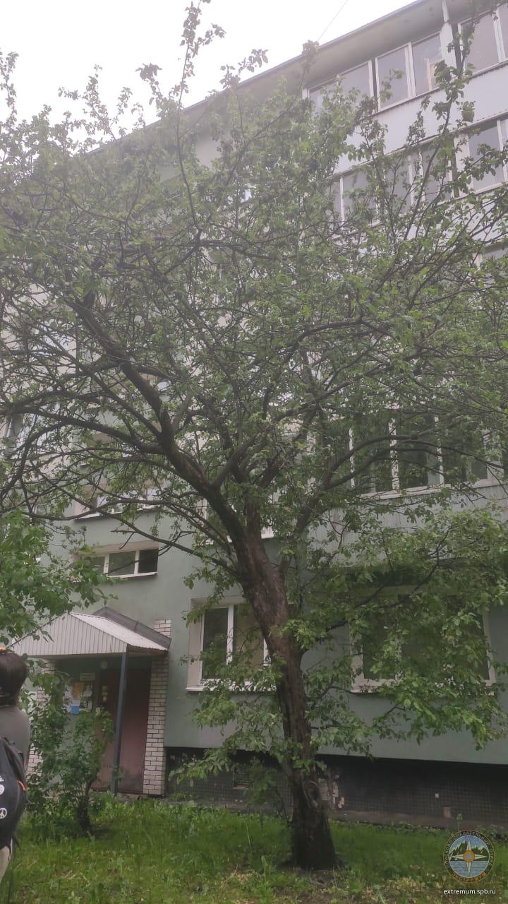 WhatsApp Image 2020-06-10 at 17.35.25.jpeg