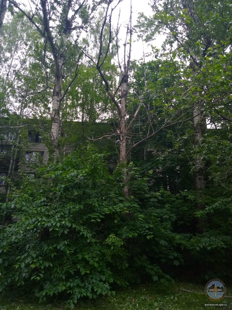 WhatsApp Image 2020-06-11 at 10.54.34 (1).jpeg