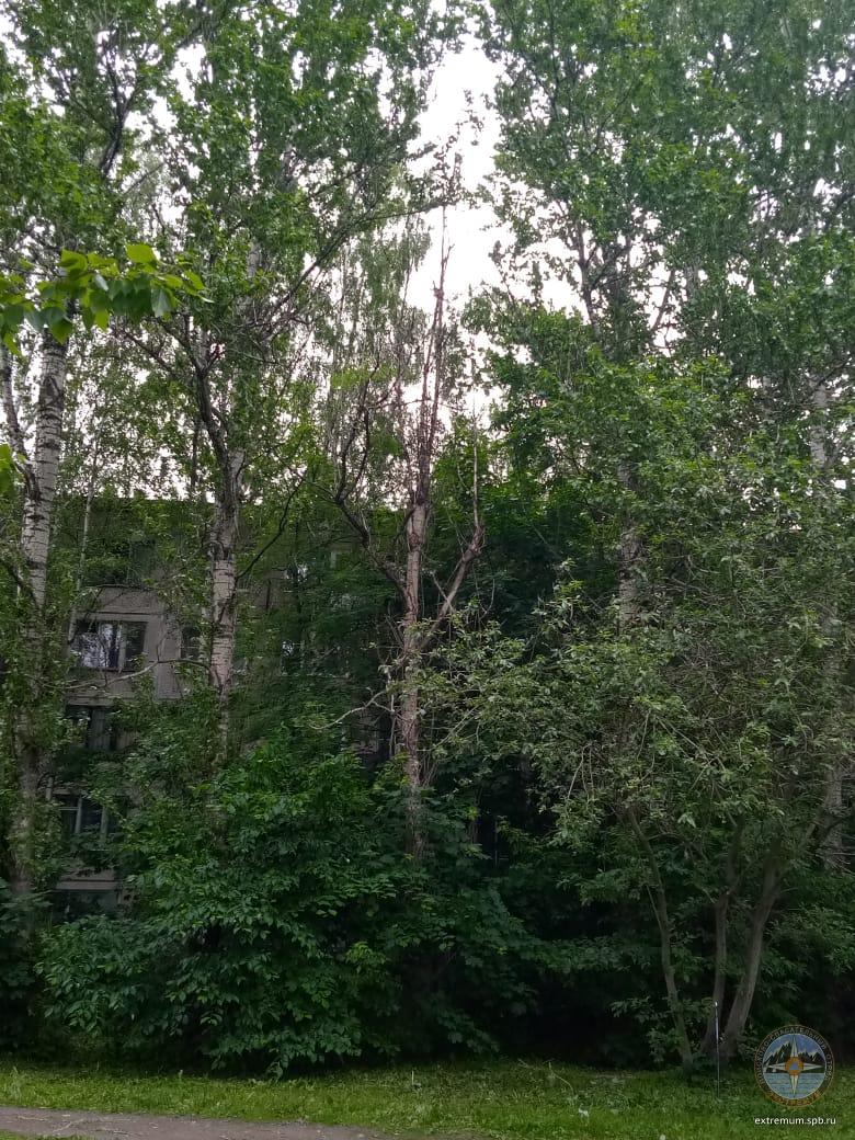 WhatsApp Image 2020-06-11 at 10.54.34.jpeg