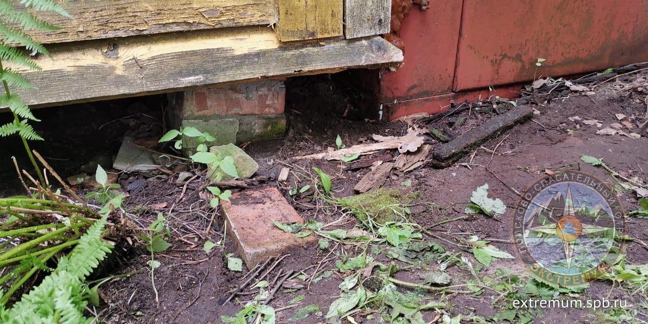 WhatsApp Image 2020-06-11 at 15.02.19 (1).jpeg