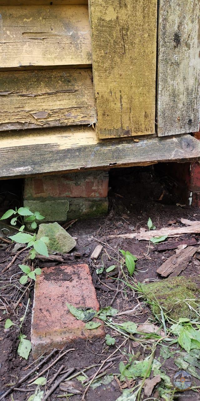 WhatsApp Image 2020-06-11 at 15.02.19.jpeg