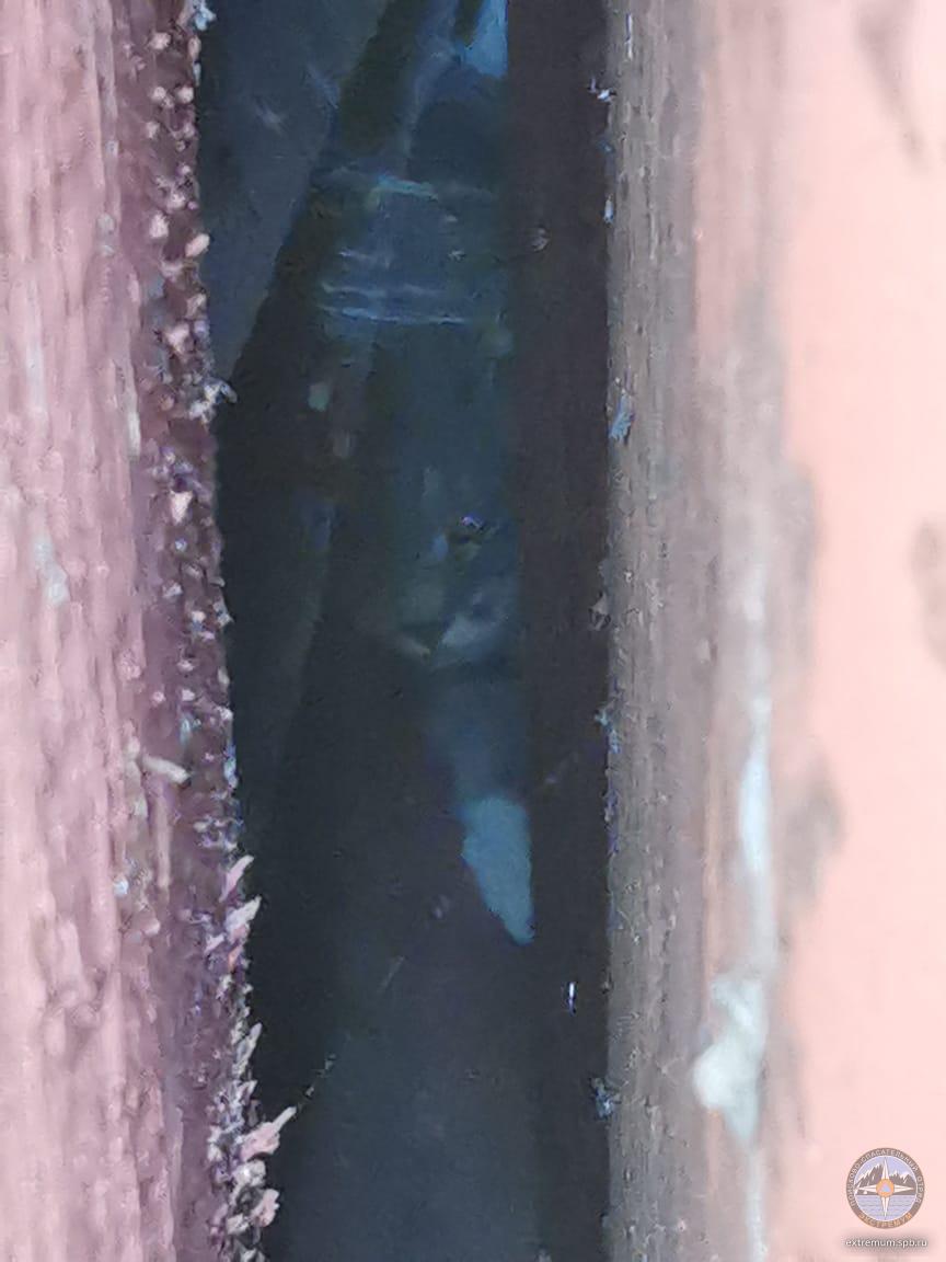 WhatsApp Image 2020-06-11 at 15.25.39.jpeg