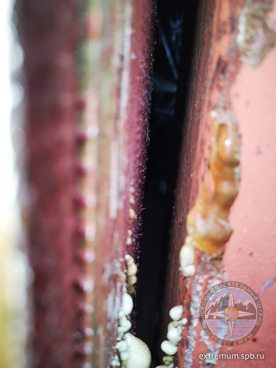 WhatsApp Image 2020-06-11 at 15.25.38.jpeg