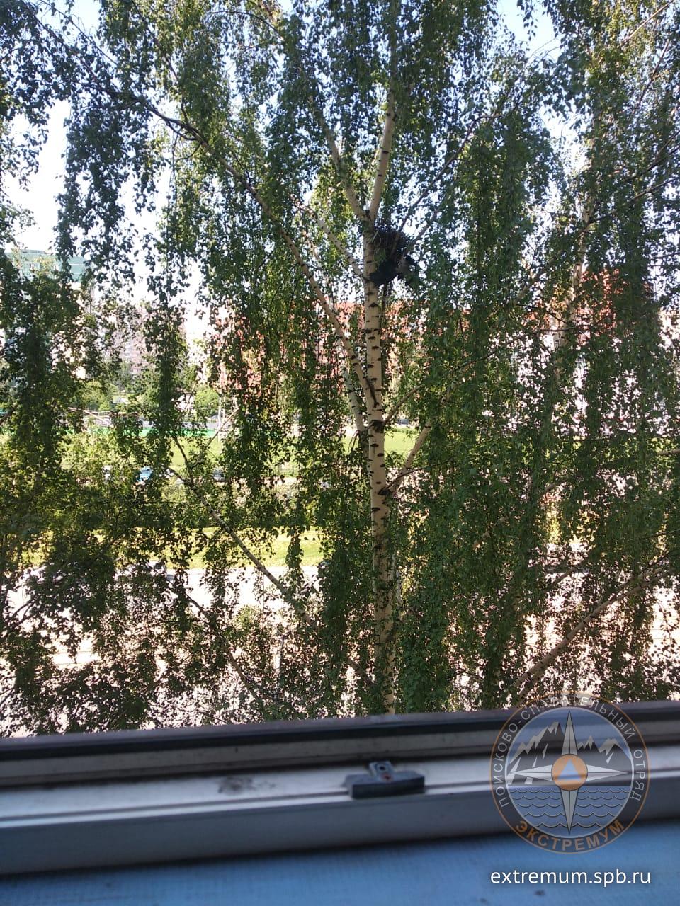 WhatsApp Image 2020-06-17 at 13.02.41 (2).jpeg