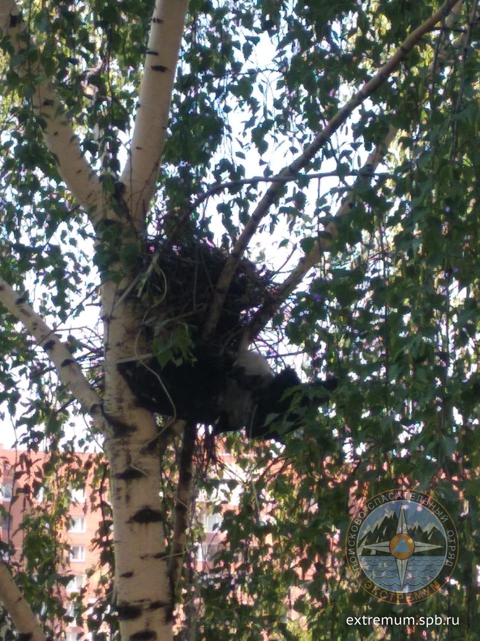 WhatsApp Image 2020-06-17 at 13.02.41.jpeg