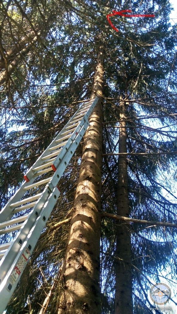 WhatsApp Image 2020-06-18 at 10.30.38.jpeg