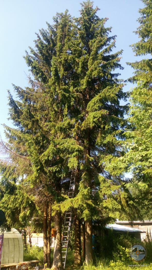 WhatsApp Image 2020-06-18 at 10.28.04.jpeg