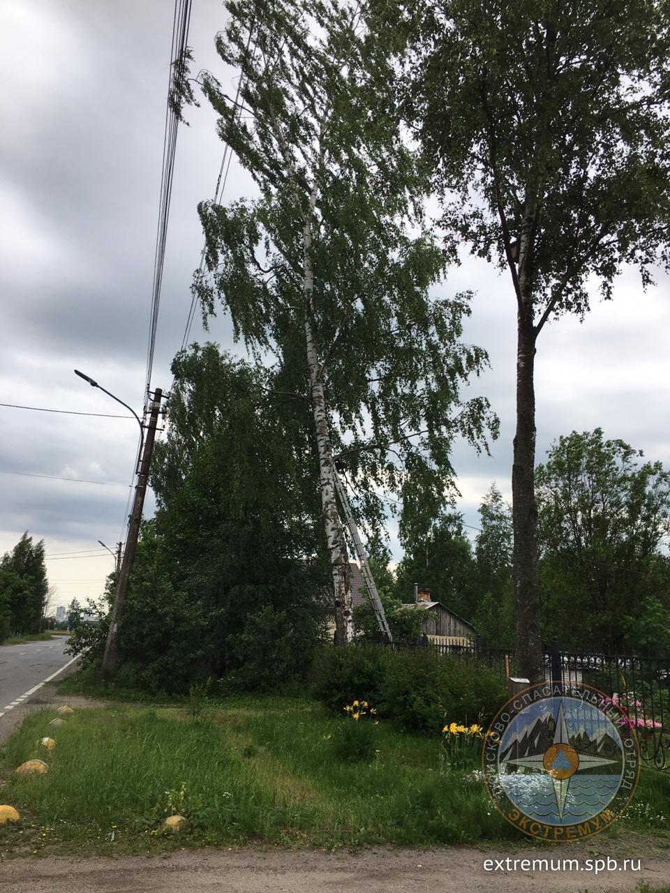 WhatsApp Image 2020-06-19 at 16.18.49 (1).jpeg