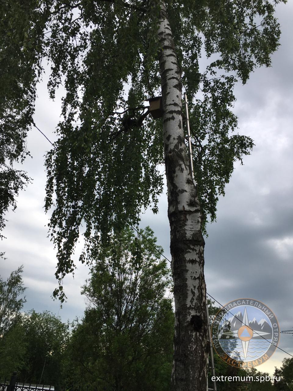 WhatsApp Image 2020-06-19 at 16.18.49.jpeg