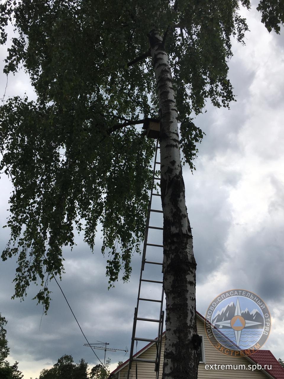 WhatsApp Image 2020-06-19 at 16.18.48.jpeg