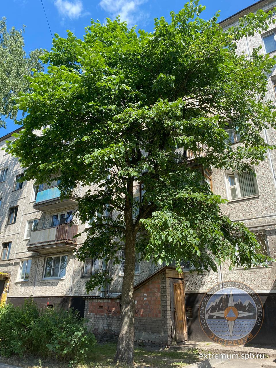 WhatsApp Image 2020-06-24 at 12.41.33.jpeg