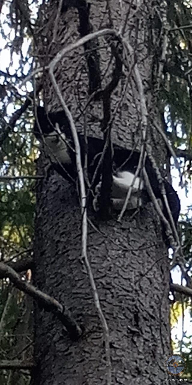 WhatsApp Image 2020-06-24 at 19.07.41.jpeg