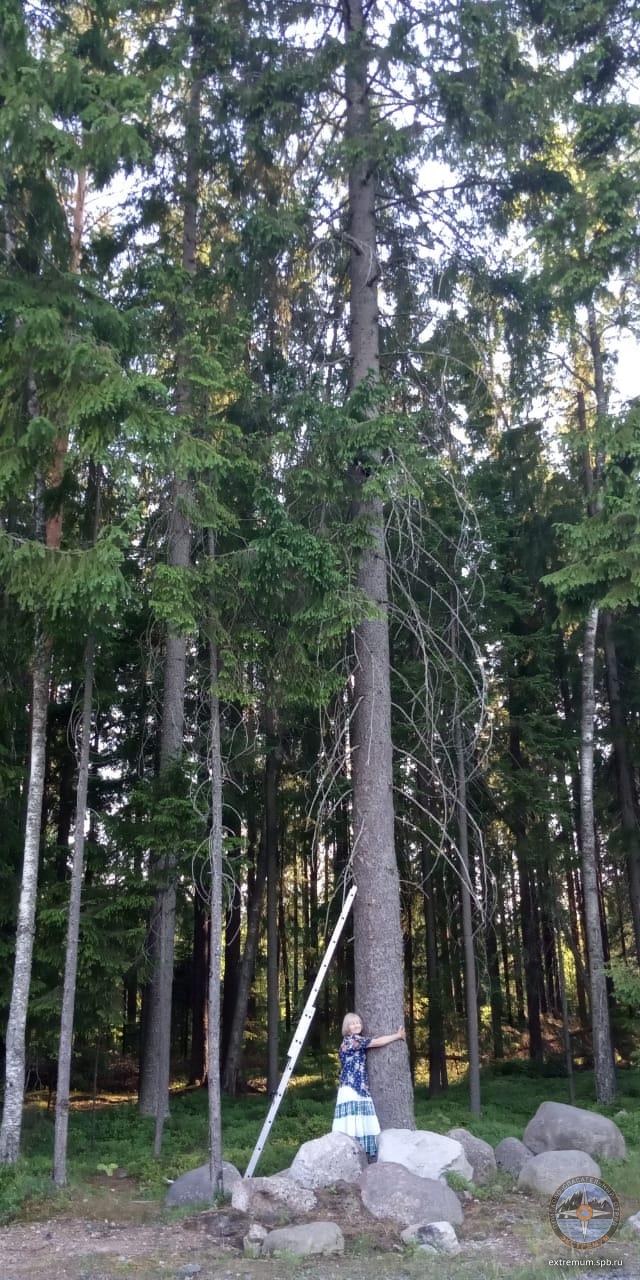 WhatsApp Image 2020-06-24 at 19.07.25.jpeg