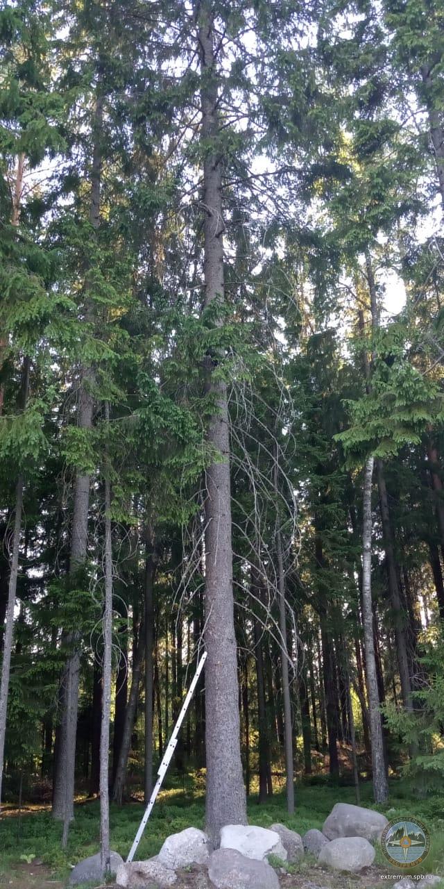 WhatsApp Image 2020-06-24 at 19.07.11.jpeg