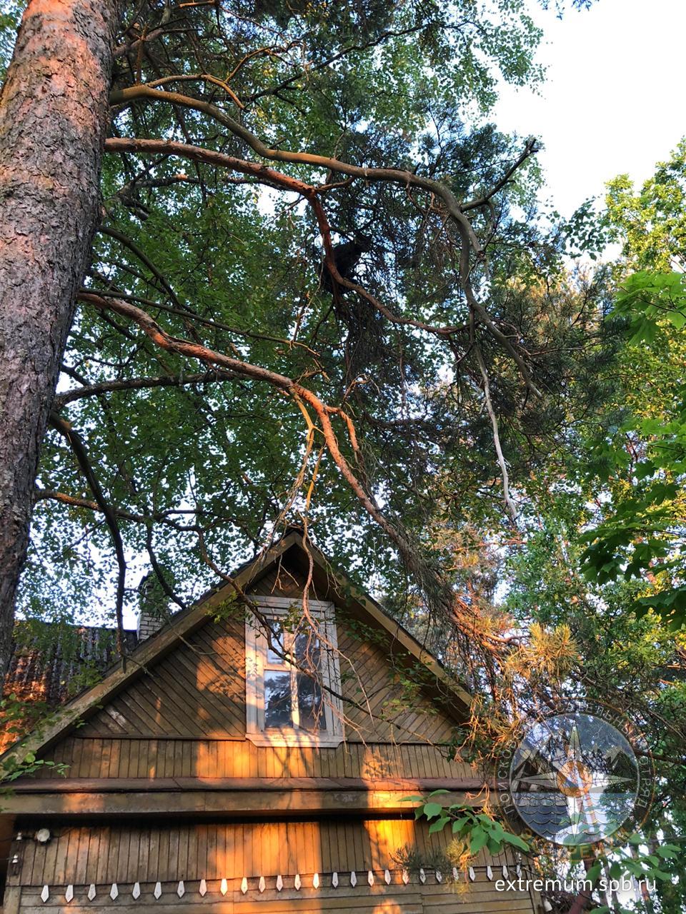 WhatsApp Image 2020-06-25 at 21.22.51.jpeg