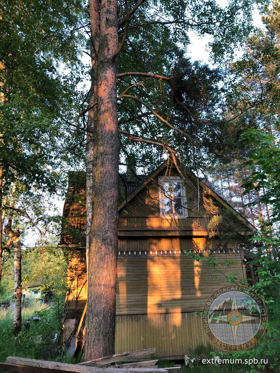 WhatsApp Image 2020-06-25 at 21.21.52.jpeg