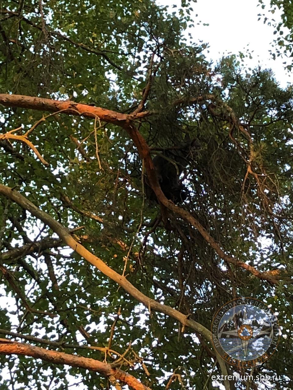 WhatsApp Image 2020-06-25 at 21.21.49.jpeg