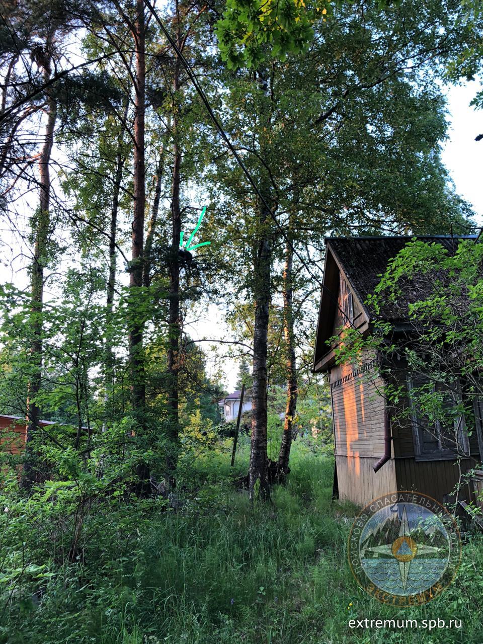 WhatsApp Image 2020-06-25 at 21.21.46.jpeg