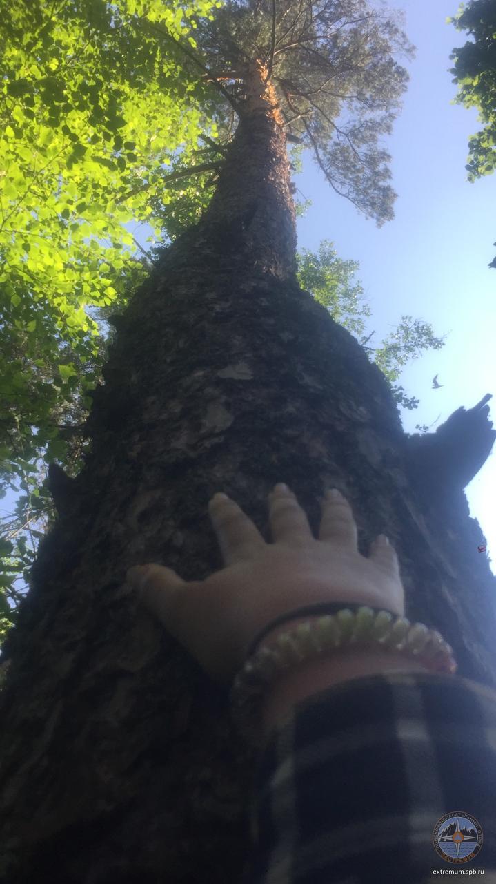 WhatsApp Image 2020-06-26 at 09.22.58.jpeg