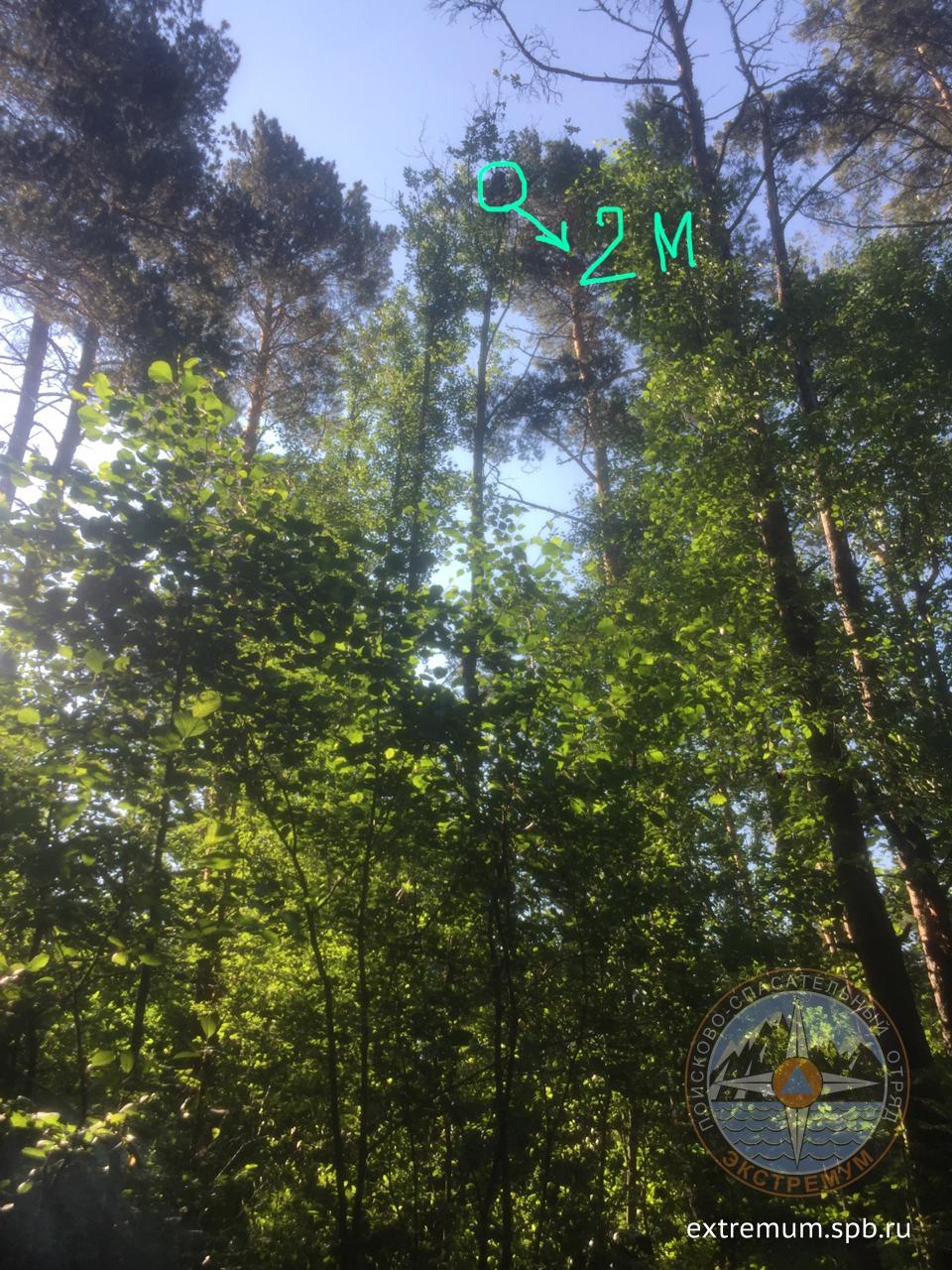 WhatsApp Image 2020-06-26 at 09.21.37.jpeg