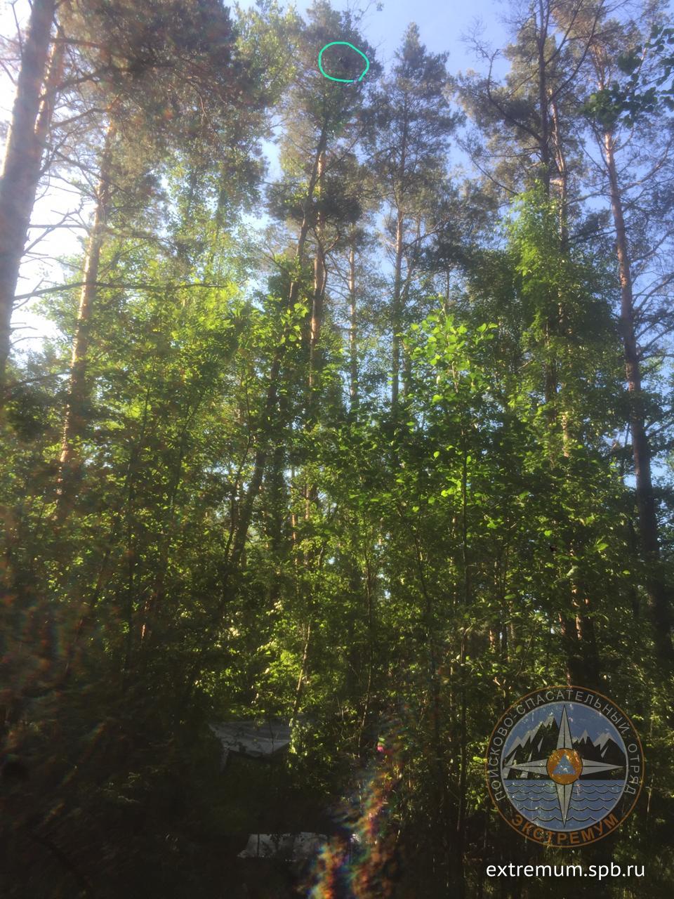 WhatsApp Image 2020-06-26 at 09.20.39.jpeg