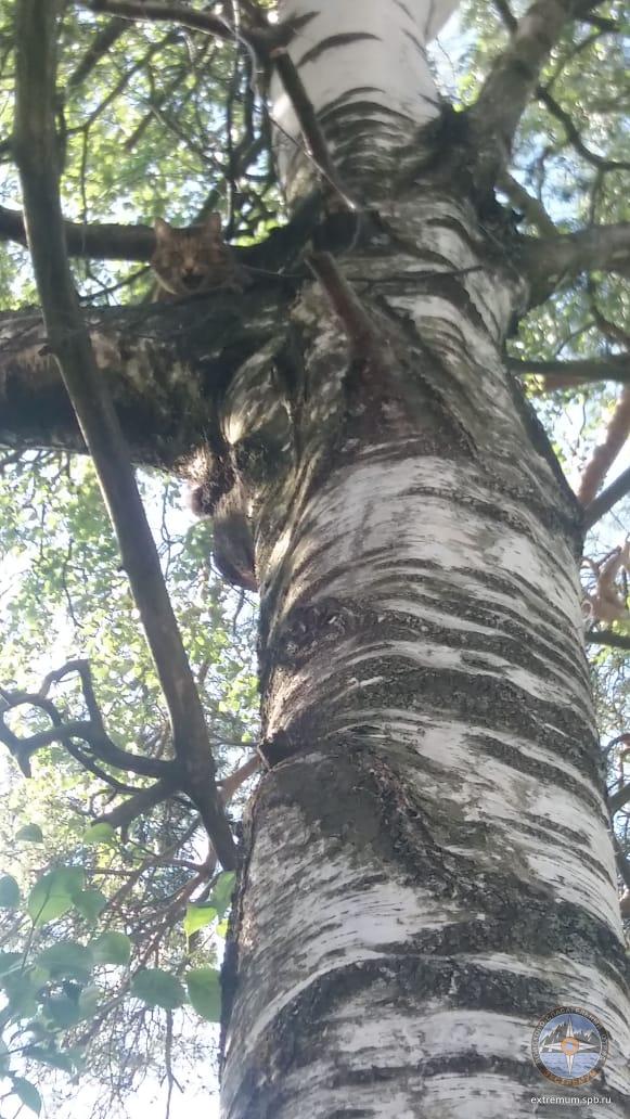 WhatsApp Image 2020-07-02 at 10.10.39.jpeg