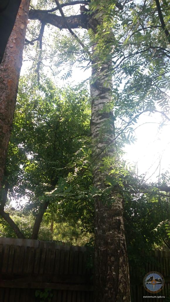 WhatsApp Image 2020-07-02 at 10.10.18.jpeg