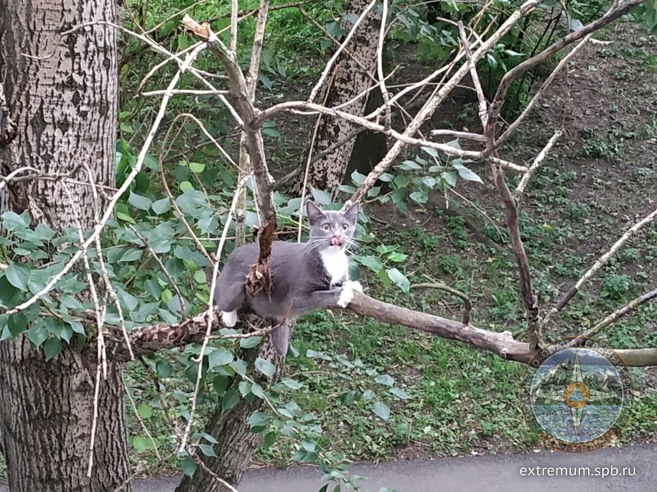 WhatsApp Image 2020-07-08 at 11.07.06 (1).jpeg