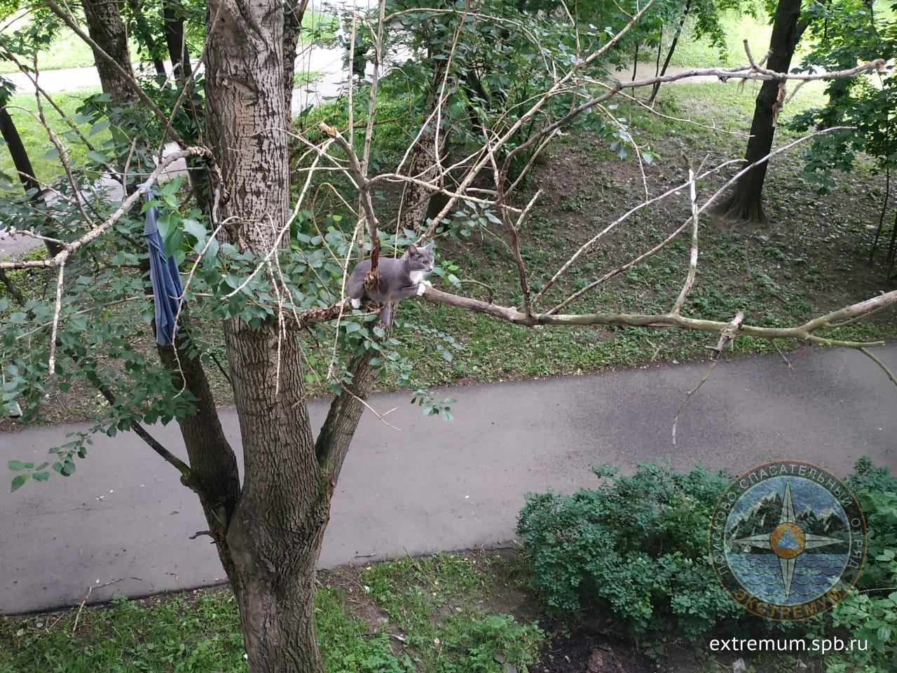 WhatsApp Image 2020-07-08 at 11.06.51.jpeg