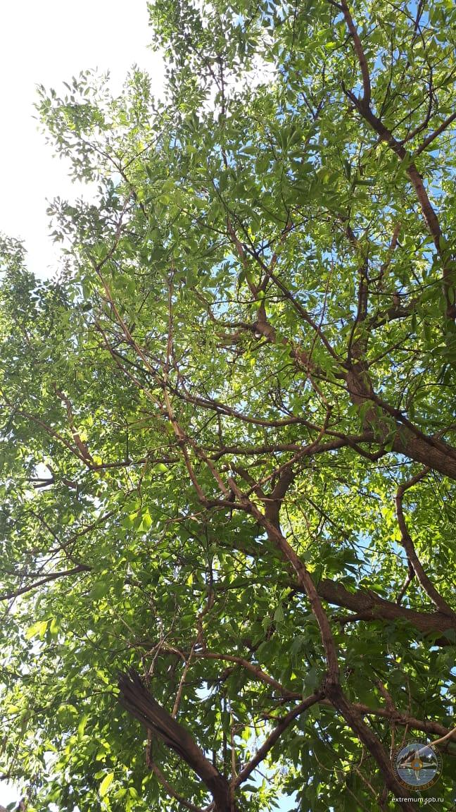 WhatsApp Image 2020-07-08 at 16.05.55 (1).jpeg