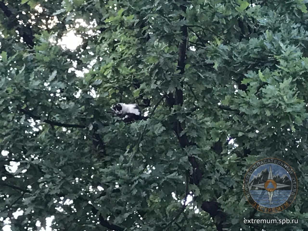 WhatsApp Image 2020-07-08 at 21.39.38.jpeg