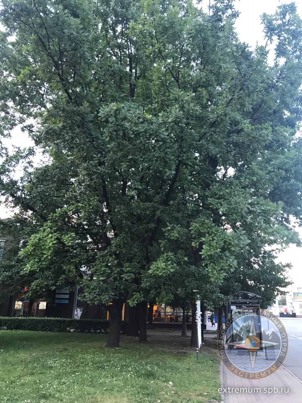 WhatsApp Image 2020-07-08 at 21.39.27 (1).jpeg