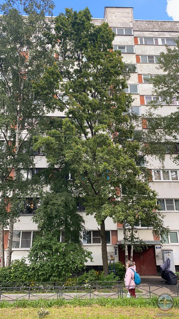 WhatsApp Image 2020-07-10 at 13.44.34.jpeg