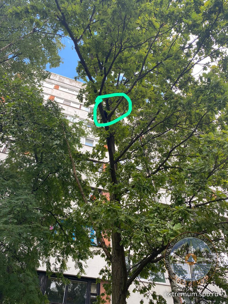 WhatsApp Image 2020-07-10 at 13.44.22.jpeg