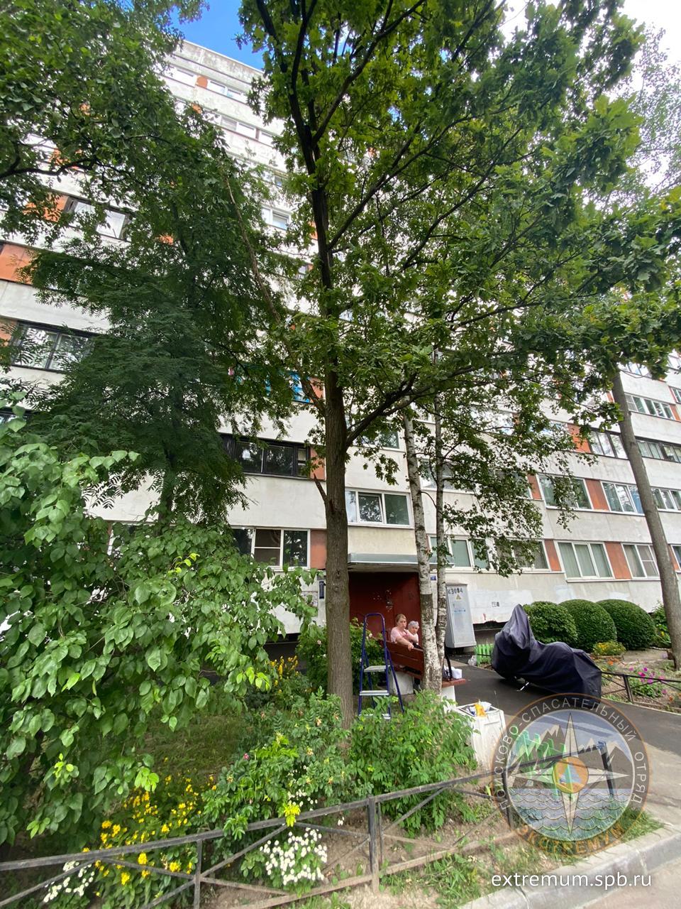 WhatsApp Image 2020-07-10 at 13.44.20.jpeg