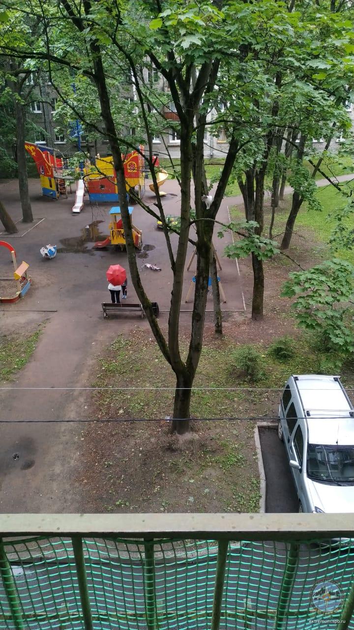 WhatsApp Image 2020-07-10 at 19.30.37.jpeg